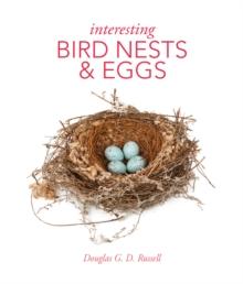 Interesting Bird Nests and Eggs