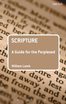 Scripture: A Guide for the Perplexed