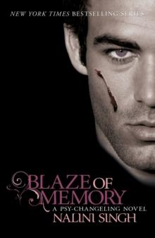 Blaze of Memory : Book 7