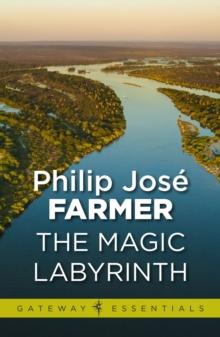 The Magic Labyrinth