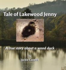 Tale of Lakewood Jenny : A true story about a wood duck