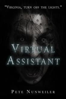 Virtual Assistant