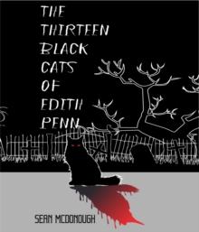 The Thirteen Black Cats of Edith Penn