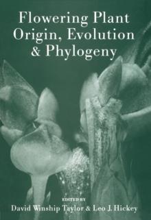 Flowering Plant Origin, Evolution & Phylogeny