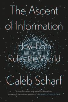 The Ascent Of Information