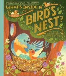 What's Inside A Bird's Nest? : And Other Questions About Nature & Life Cycles