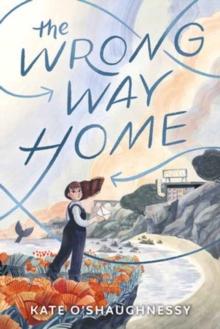 The Wrong Way Home