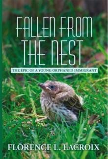 Fallen from the Nest : The Epic of a Young Orphaned Immigrant