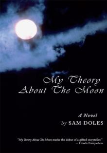 My Theory About the Moon : A Novel