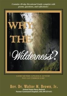 Why the Wilderness? : God Sends Angels <I>After</I> We Go Through!