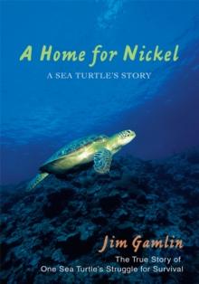 A Home for Nickel : A Sea Turtle's Story