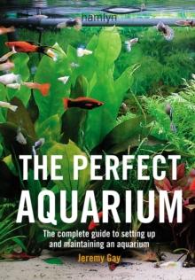 The Perfect Aquarium : The Complete Guide to Setting Up and Maintaining an Aquarium