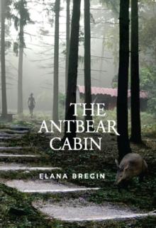 The Antbear Cabin