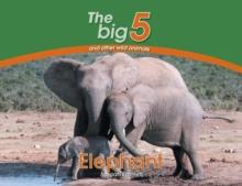 Elephant : The Big 5 and Other Wild Animals