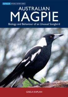 Australian Magpie : Biology and Behaviour of an Unusual Songbird