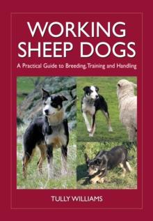 Working Sheep Dogs : A Practical Guide to Breeding, Training and Handling