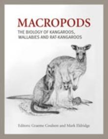 Macropods : The Biology of Kangaroos, Wallabies and Rat-kangaroos