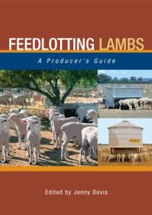 Feedlotting Lambs : A Producer's Guide