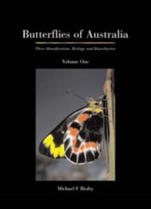 Butterflies of Australia : Their Identification, Biology and Distribution