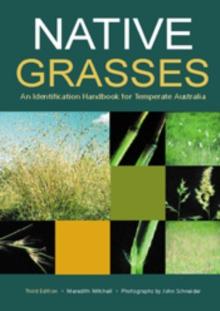 Native Grasses : Identification Handbook for Temperate Australia