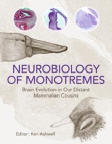 Neurobiology of Monotremes : Brain Evolution in Our Distant Mammalian Cousins