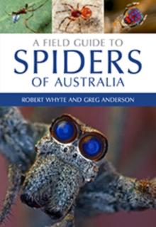 A Field Guide to Spiders of Australia