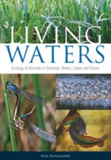 Living Waters : Ecology of Animals in Swamps, Rivers, Lakes and Dams