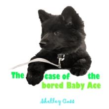 The Case of the Bored Baby Ace : Book Two in the Sleep Sweet Series