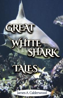 Great White Shark Tales : shark and fishing stories