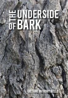 The Underside of Bark