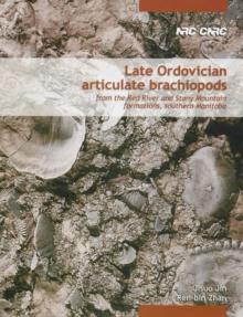 Late Ordovician Articulate Brachiopods from the Red River and Stony Mountain Formations, Southern Manitoba