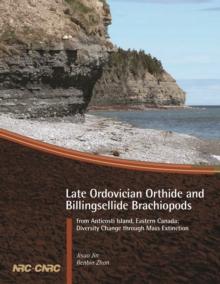 Late Ordovician orthide and billingsellide brachiopods from Anticosti Island, eastern Canada