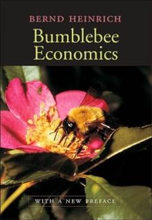 Bumblebee Economics : With a New Preface