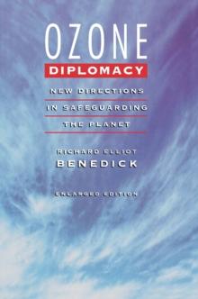 Ozone Diplomacy : New Directions in Safeguarding the Planet, Enlarged Edition