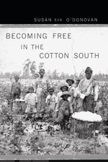 Becoming Free in the Cotton South