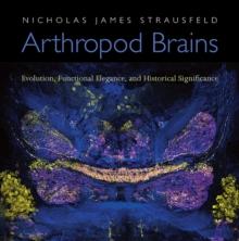 Arthropod Brains : Evolution, Functional Elegance, and Historical Significance