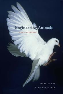 Engineering Animals : How Life Works