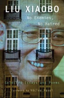 No Enemies, No Hatred : Selected Essays And Poems