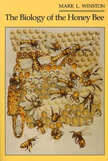 The Biology Of The Honey Bee