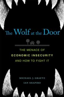 The Wolf at the Door : The Menace of Economic Insecurity and How to Fight It