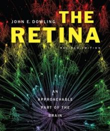 The Retina : An Approachable Part of the Brain, Revised Edition