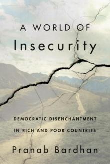 A World of Insecurity : Democratic Disenchantment in Rich and Poor Countries