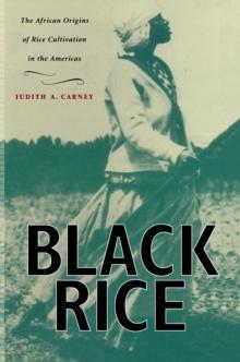 Black Rice : The African Origins of Rice Cultivation in the Americas