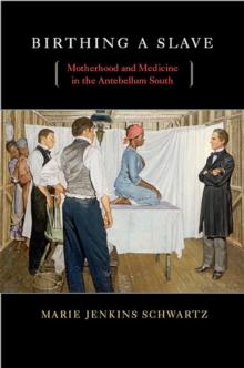 Birthing a Slave : Motherhood and Medicine in the Antebellum South