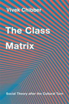 The Class Matrix : Social Theory after the Cultural Turn