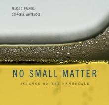 No Small Matter : Science on the Nanoscale