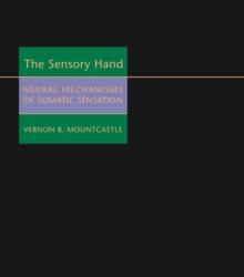 The Sensory Hand : Neural Mechanisms of Somatic Sensation