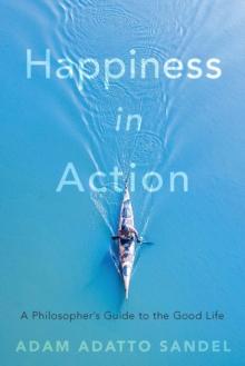 Happiness in Action : A Philosopher's Guide to the Good Life