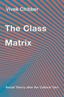 The Class Matrix : Social Theory after the Cultural Turn