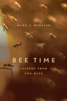 Bee Time : Lessons from the Hive